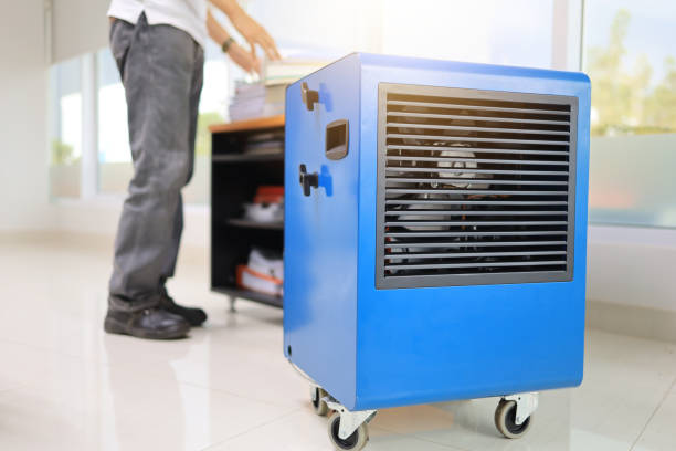 Best Biohazard Mold Removal  in Buffalo, NY
