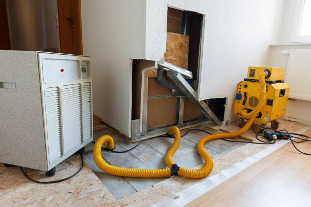 Best Post-Remediation Verification Testing  in Buffalo, NY